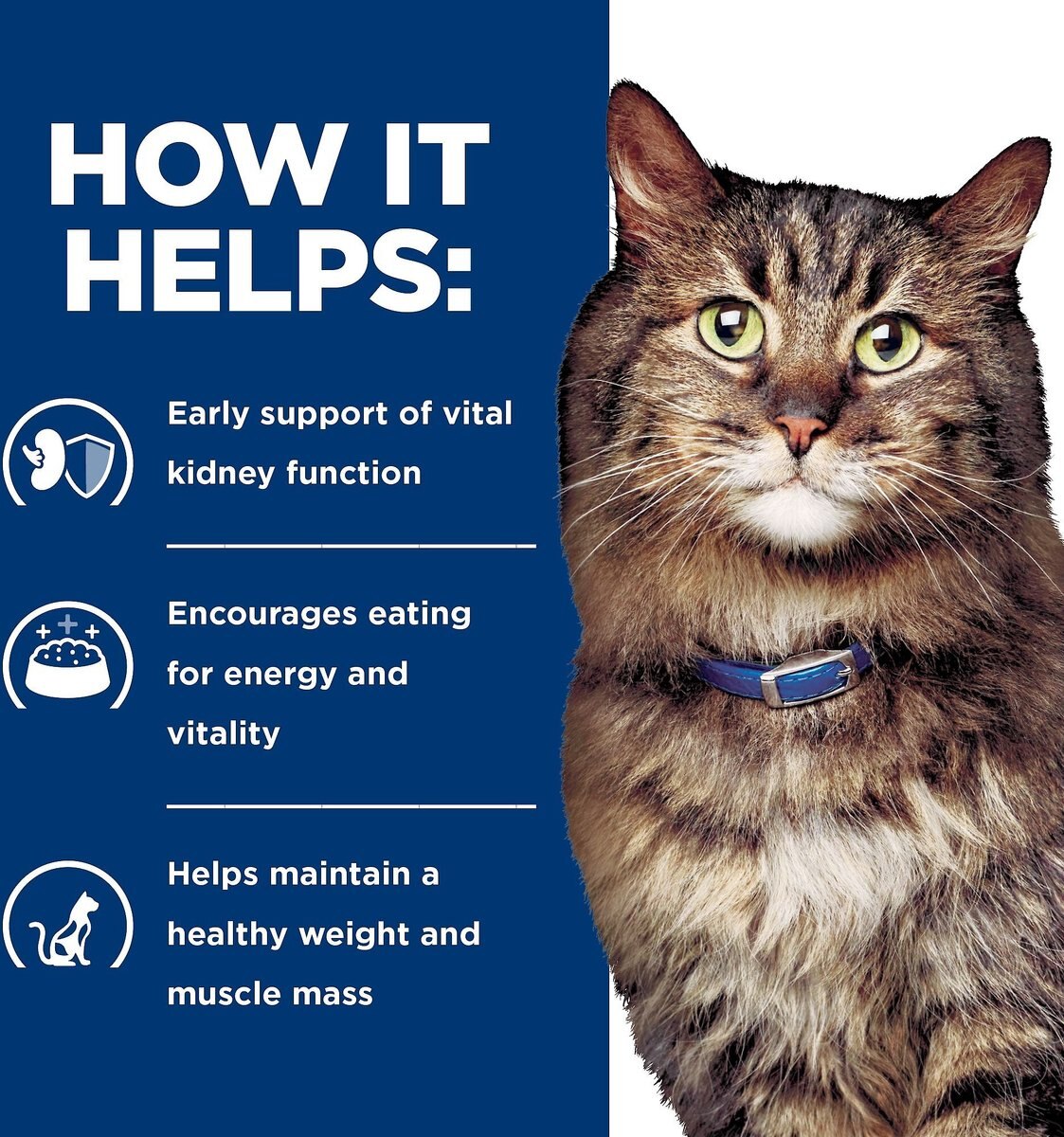 Hill's Prescription Diet k/d Kidney Care Early Support with Chicken Dry Cat Food