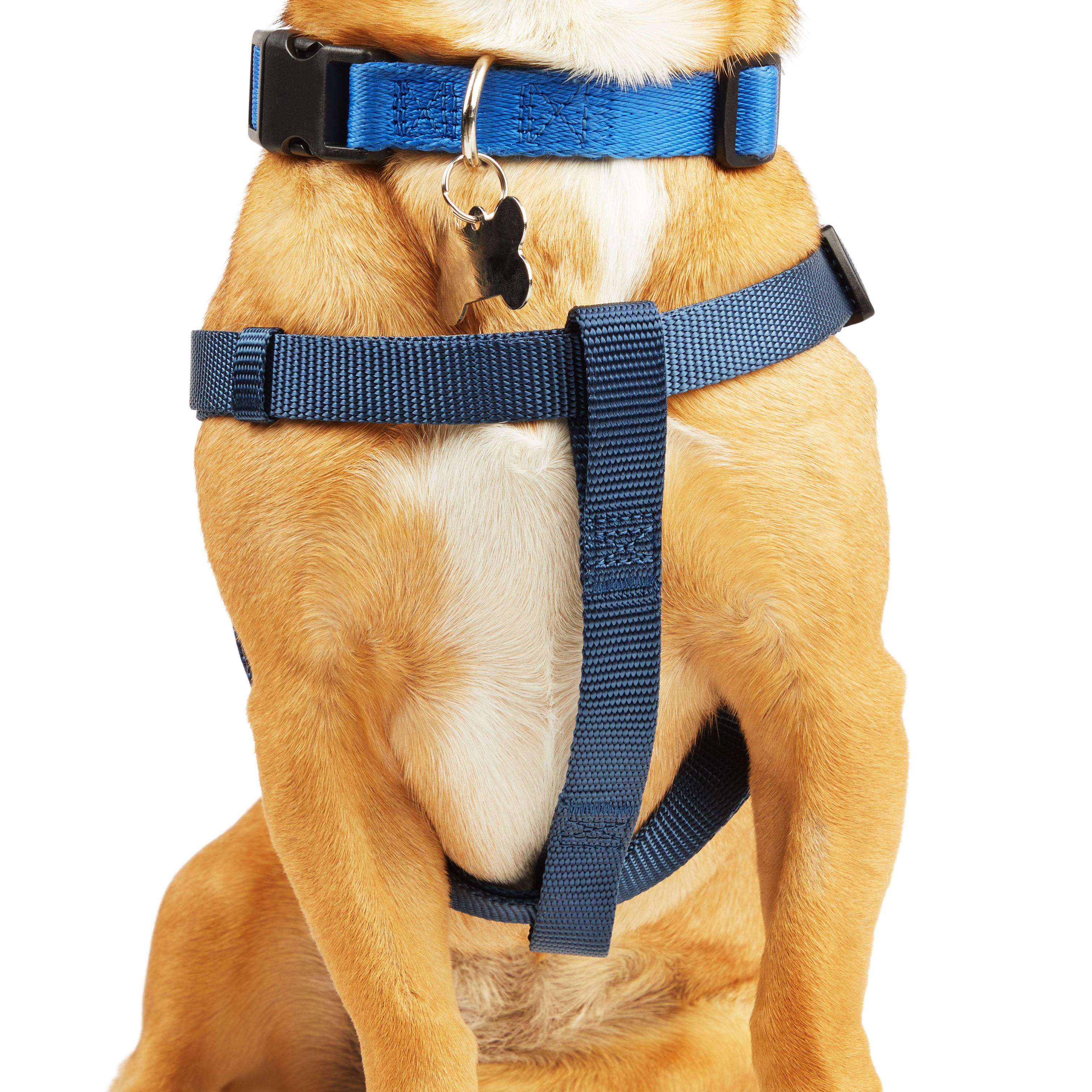 YOULY Blue Dog Harness， X-Small