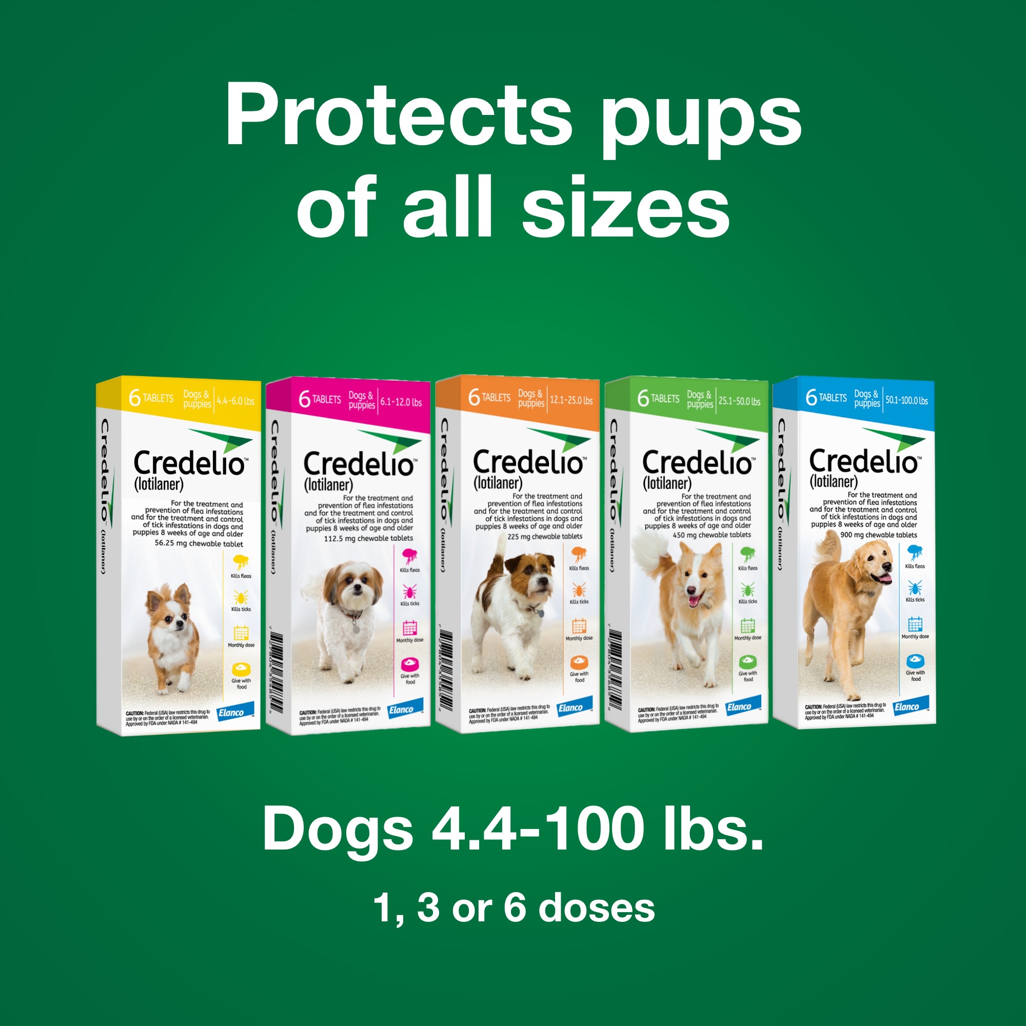 Credelio Chewable Tablets for Dogs 12.1-25 lbs， 1 Month Supply