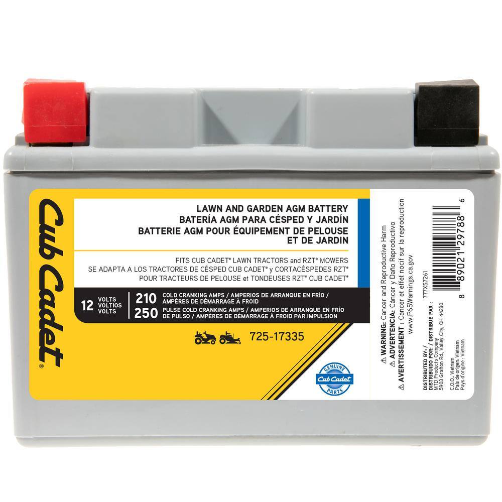 Cub Cadet Replacement 12-Volt 11 Ah 210 CCA Sealed AGM Riding Lawn Mower Battery 725P17335