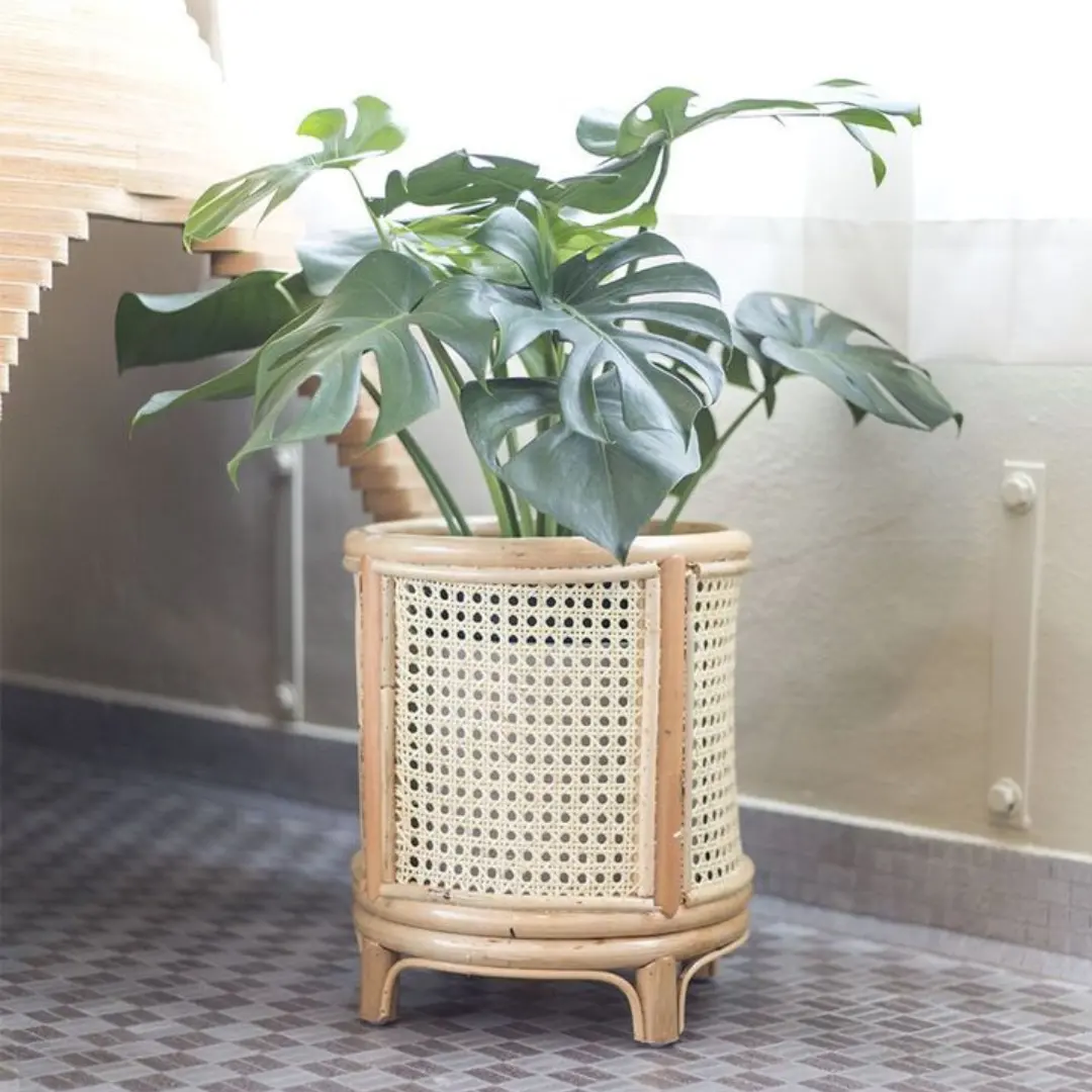 Wholesale New  for 2023 Natural Handmade Eco friendly Rattan Planter for Home garden Garden supplies made in Vietnam