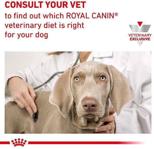 Royal Canin Veterinary Diet Adult Advanced Mobility Support Canned Dog Food