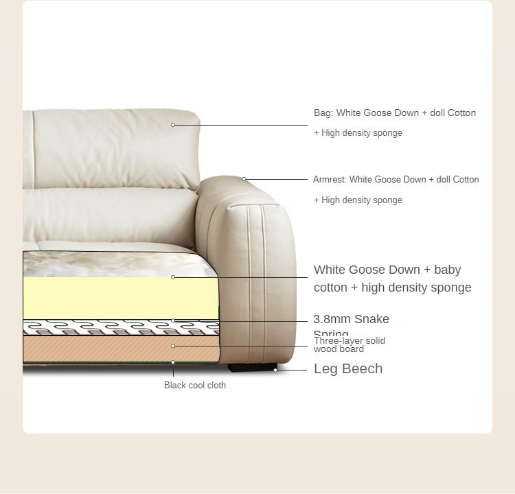 Technology Cloth Sofa Cream Style   Transitional   Sectional Sofas   by GVAwood  Houzz