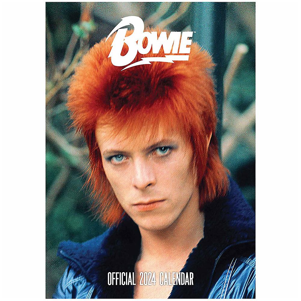 David Bowie 2024 A3 Wall Calendar