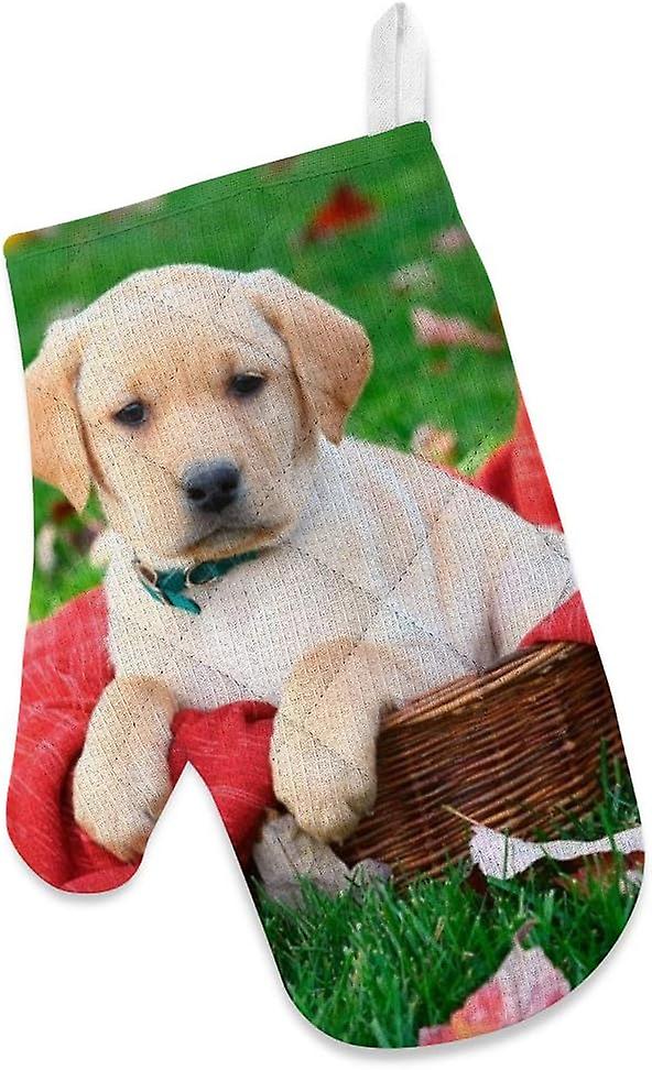 Kitchen Oven Mitts Glove Potholder Apron 3pcs Set Labrador Retriever Puppy Sits On Red Blanket Non Slip Heat Resistant Mitts Baking Cooking Bbq