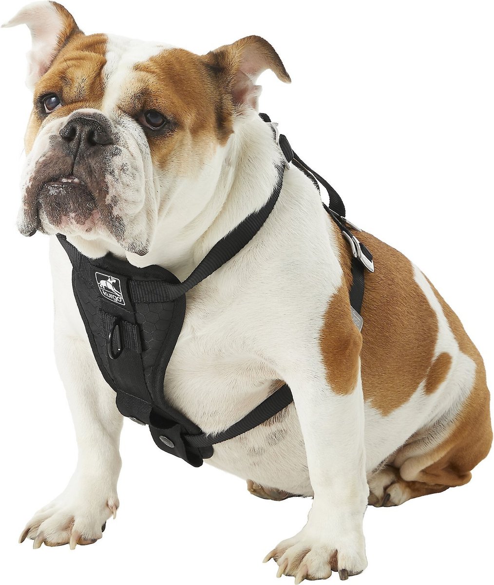 Car Dog Harness - Kurgo Tru-Fit Enhanced Strength Crash Tested Smart， Medium， Black