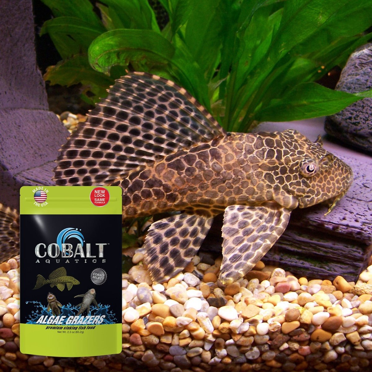 Cobalt Aquatics Select Algae Grazers Fish Food