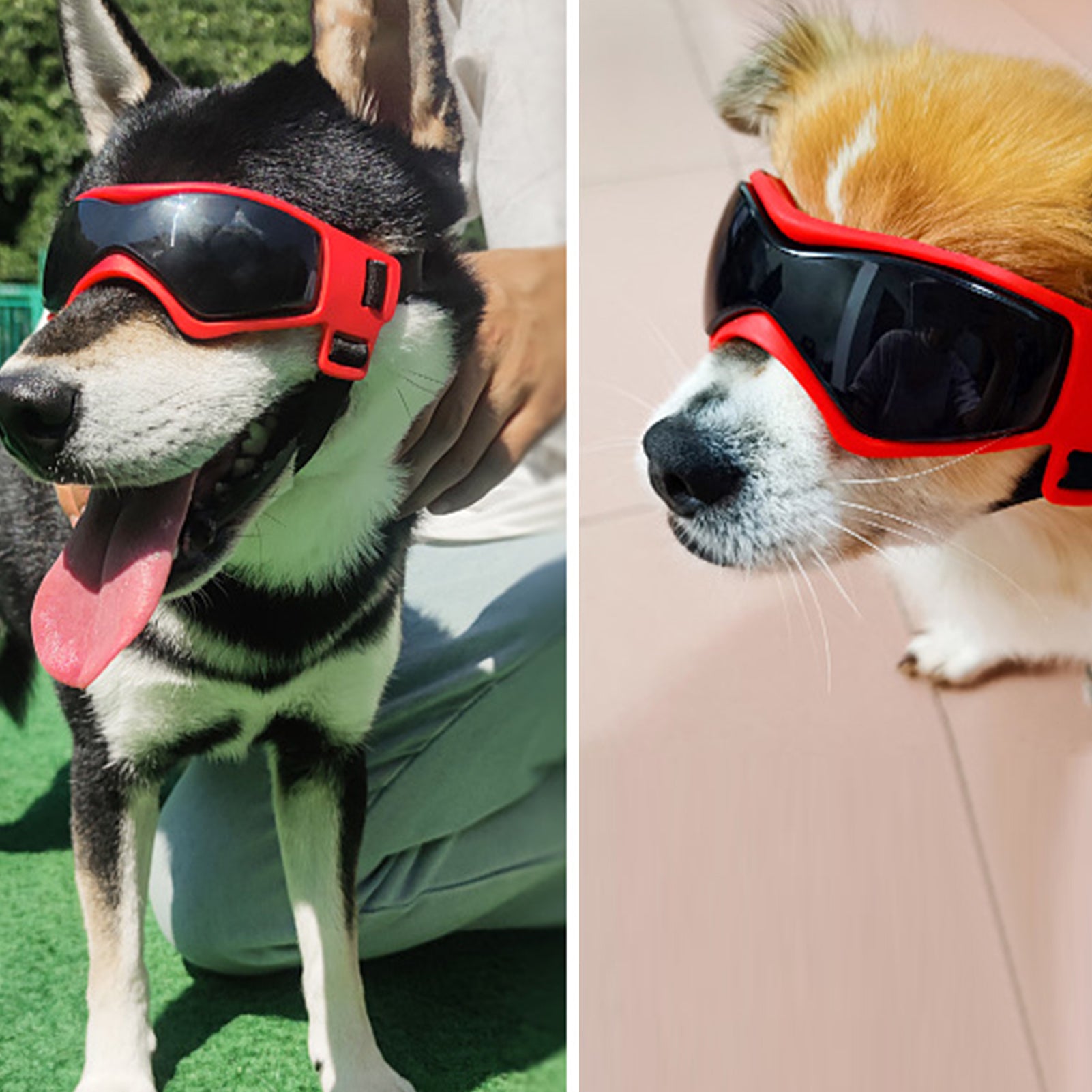 ASENKU Dog Sunglasses ，Summer Goggles With Adjustable Straps，UV Wind Dust Fog Protection，For Medium Or Large Dogs