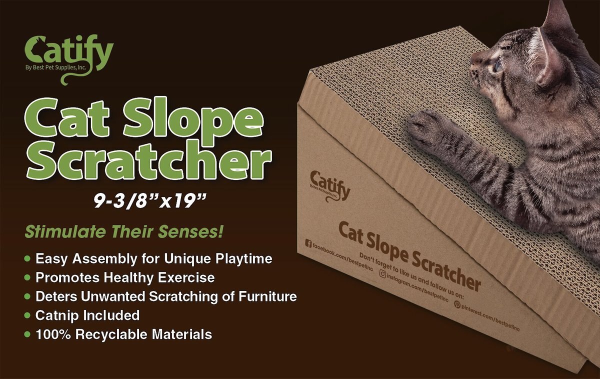 Best Pet Supplies Catify Slope Catnip Scratcher Cat Toy， 2 count