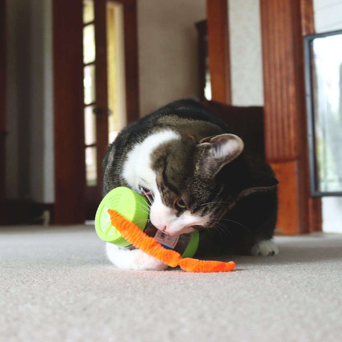 Turbo Wobble Bottle Cat Toy with Catnip