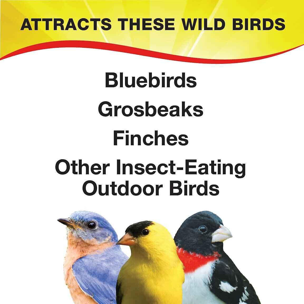 Wild Delight Bugs N' Berries Wild Bird Food