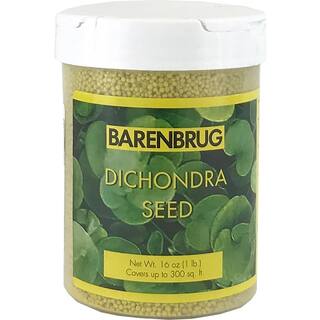 Barenbrug 1 lb. Dichondra Grass Seed 37301