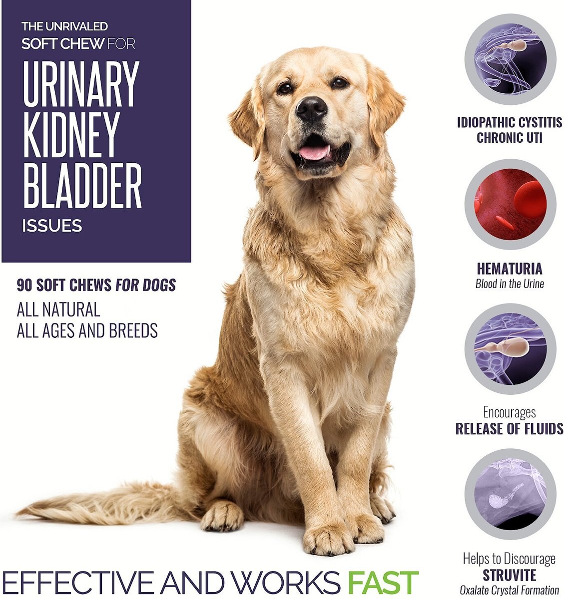 Animal Nutritional Products UroMAXX Chews Urinary Kidney and Bladder formula Dog Supplement， 90 count