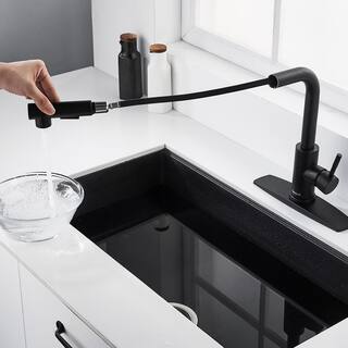 FORIOUS Single-Handle Kitchen Sink Faucet with Pull Down Sprayer Kitchen Faucet in Black HH0025B