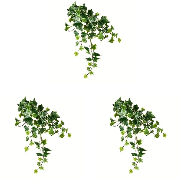 Vickerman 18 Artificial Varigated Ivy Hanging Bush，Set of 3