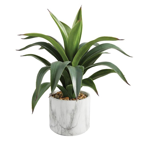 47th   Main DMR429 Big Agave In Marble Pot