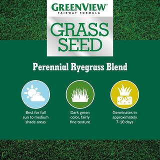 GreenView 7 lbs. Fairway Formula Grass Seed Perennial Ryegrass Blend 2829354