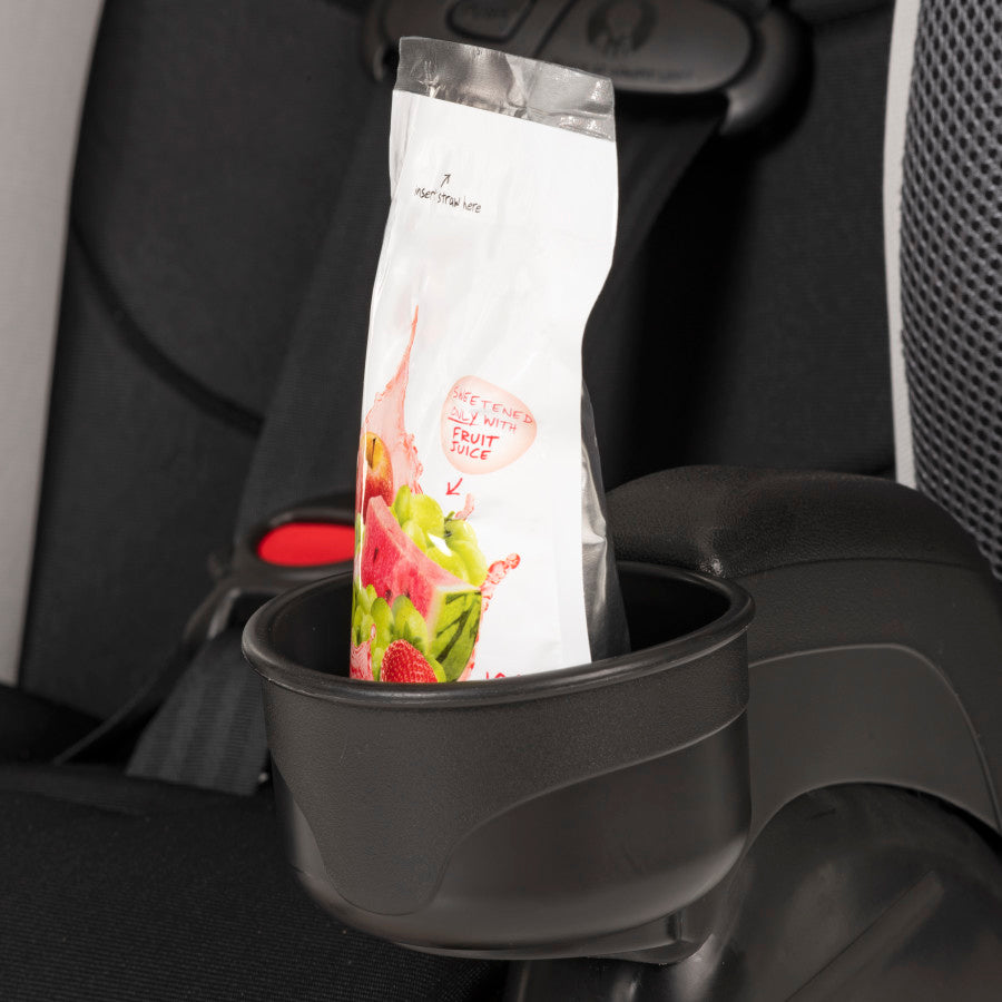 Chase Plus 2-In-1 Booster Car Seat