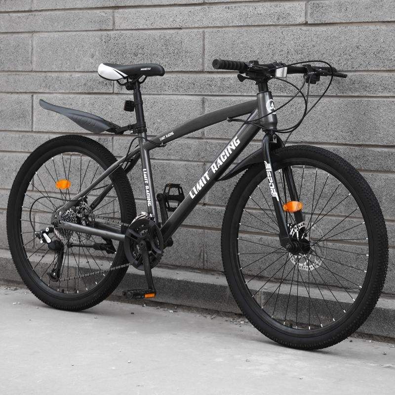 TOP sale double disc brake other folding mountain bike from vietnam supplier