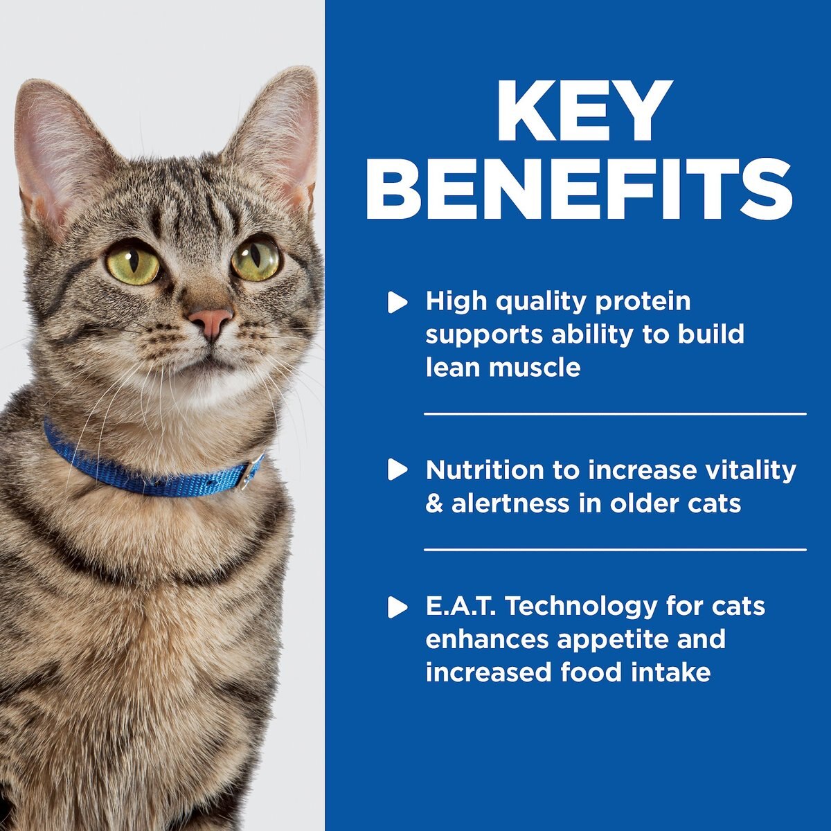 Hill's Prescription Diet k/d Kidney Care + Mobility Care with Chicken Dry Cat Food