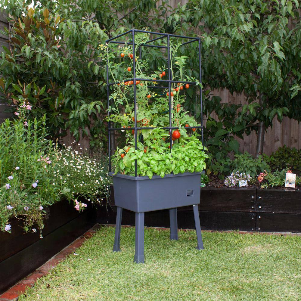 Frame It All Patio Ideas - 15.75 in. x 23.5 in. x 63 in. Self-Watering Raised Garden Bed with Trellis and Greenhouse Cover 300001601