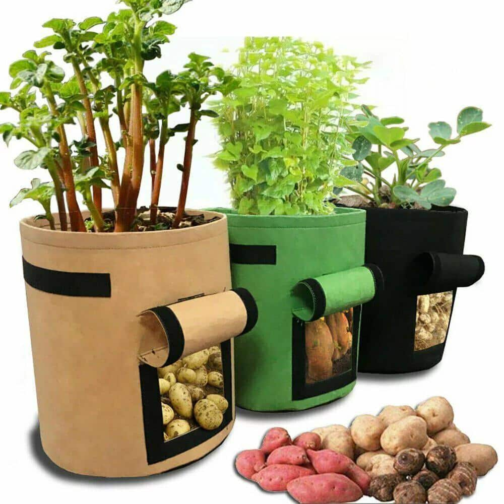 Cubilan 5 Gal. Brown Non Woven Potato Grow Bags， Potato Potting Bags With Handle And Flap Lid (4-Pieces) 603833293