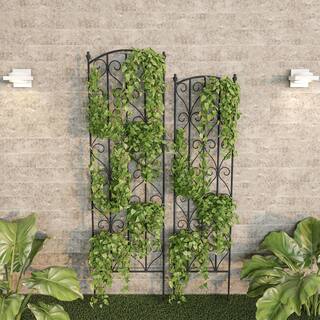 57 in. and 52 in. Black Metal Trellises with Decorative Scroll Design (Set of 2) 431017ESM