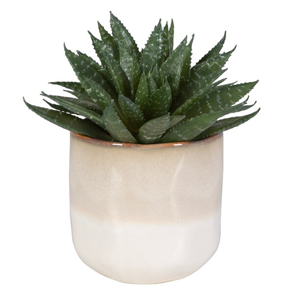 Uttermost Doha Succulent Accent