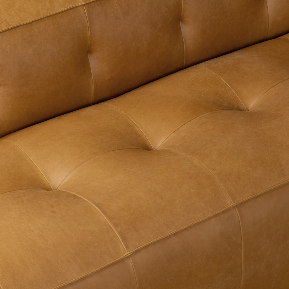 Poly and Bark Capa Sofa   Transitional   Sofas   by Edgemod Furniture  Houzz