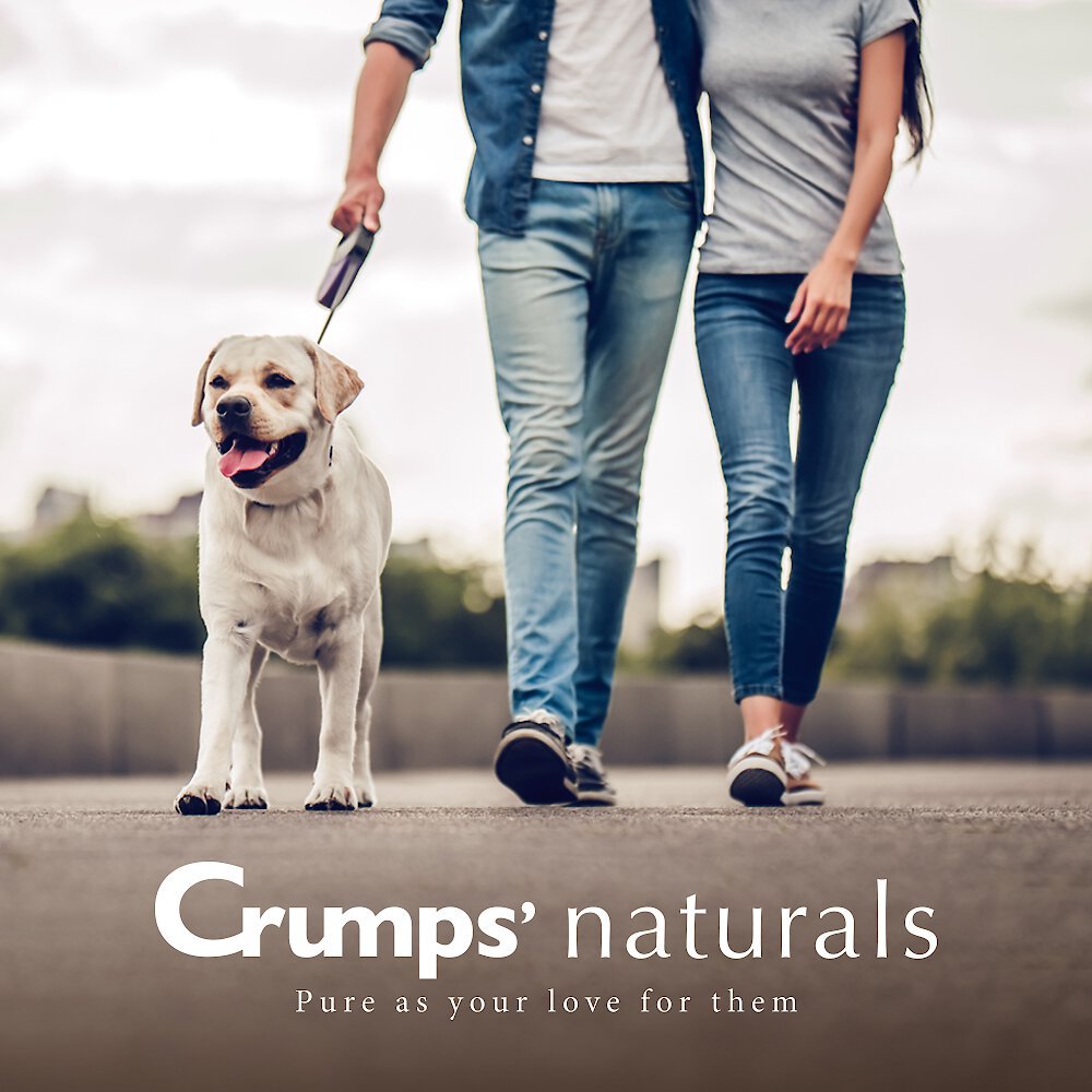 Crumps' Naturals Mini Trainers Chicken Dog Treats