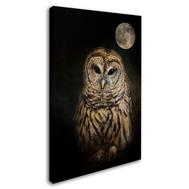 Trademark Fine Art jai Johnson x27 barred Owl And The Moon x27 Canvas Art