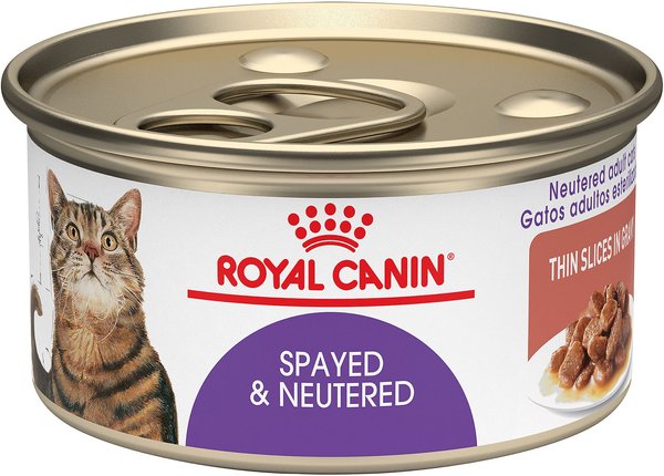 Royal Canin Spayed/Neutered Thin Slices in Gravy Canned Cat Food