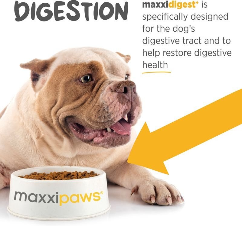 maxxipaws maxxidigest+ Digestive and Immune System Support for Dogs Supplement， 13.2-oz