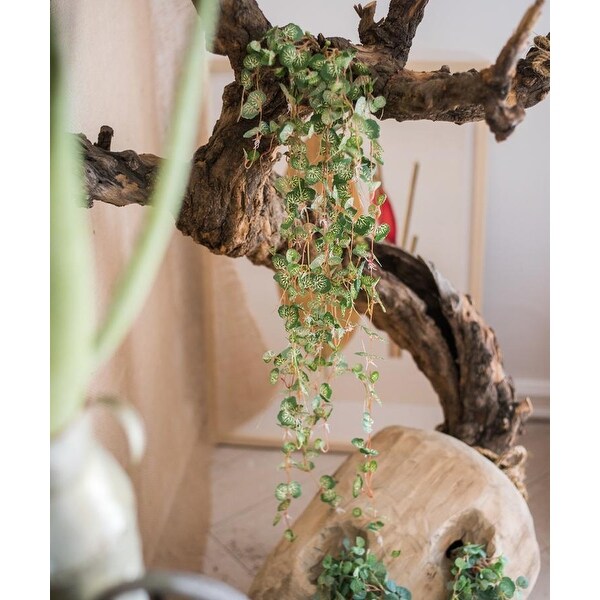 RusticReach Begonia Leaf Hanging Vine 27 Long