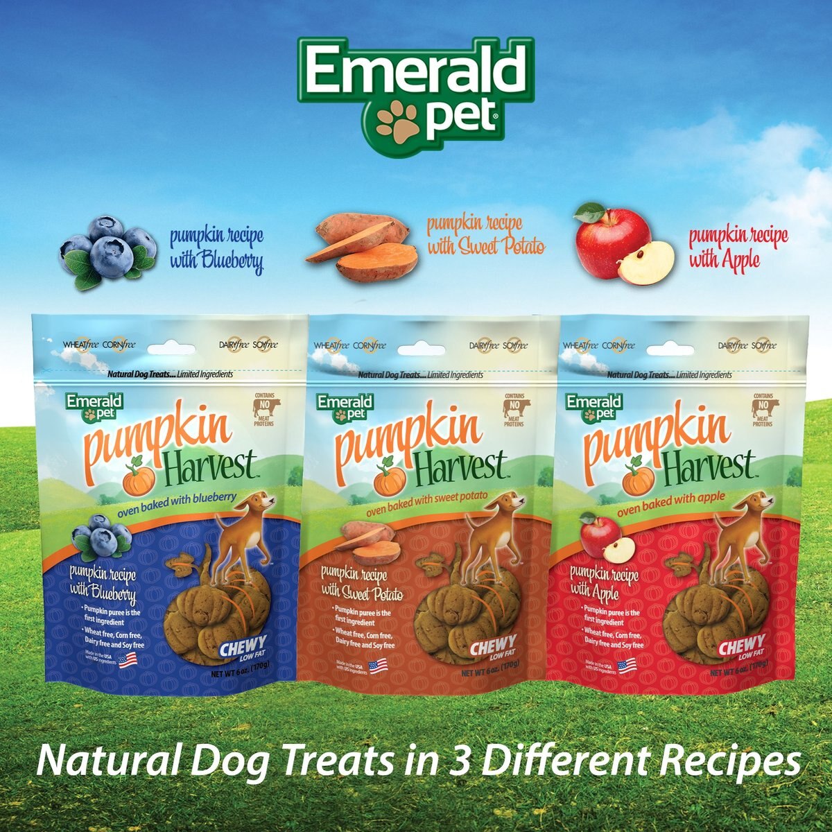 Emerald Pet Pumpkin Harvest Oven Baked With Apple Chicken-Free Dog Treats， 6-oz bag