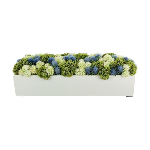 Sedum and Thistle Arranged in Rectangular Planter