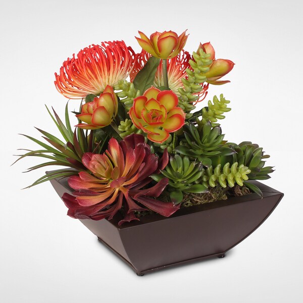 Contemporary Orange Tropical Succulent Arrangement