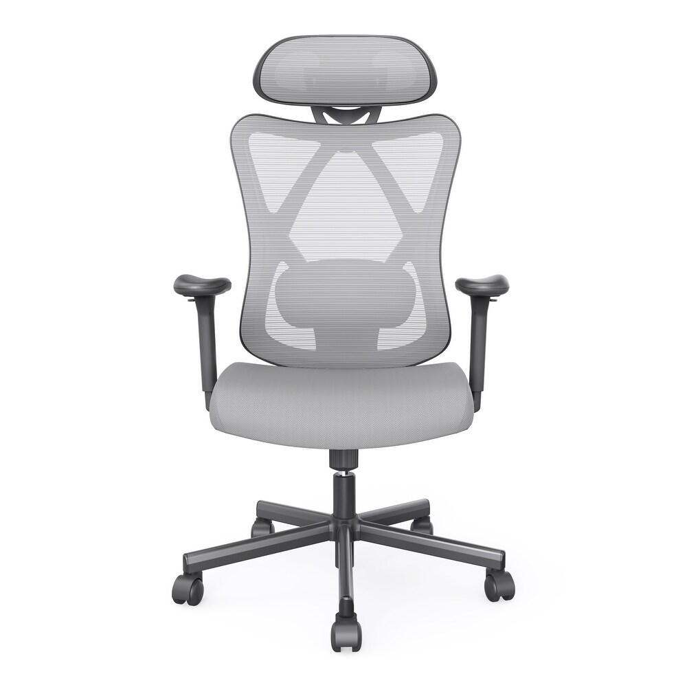 Mcintosh Contemporary Ergonomic Height Adjustable Desk Chair by Furniture of America