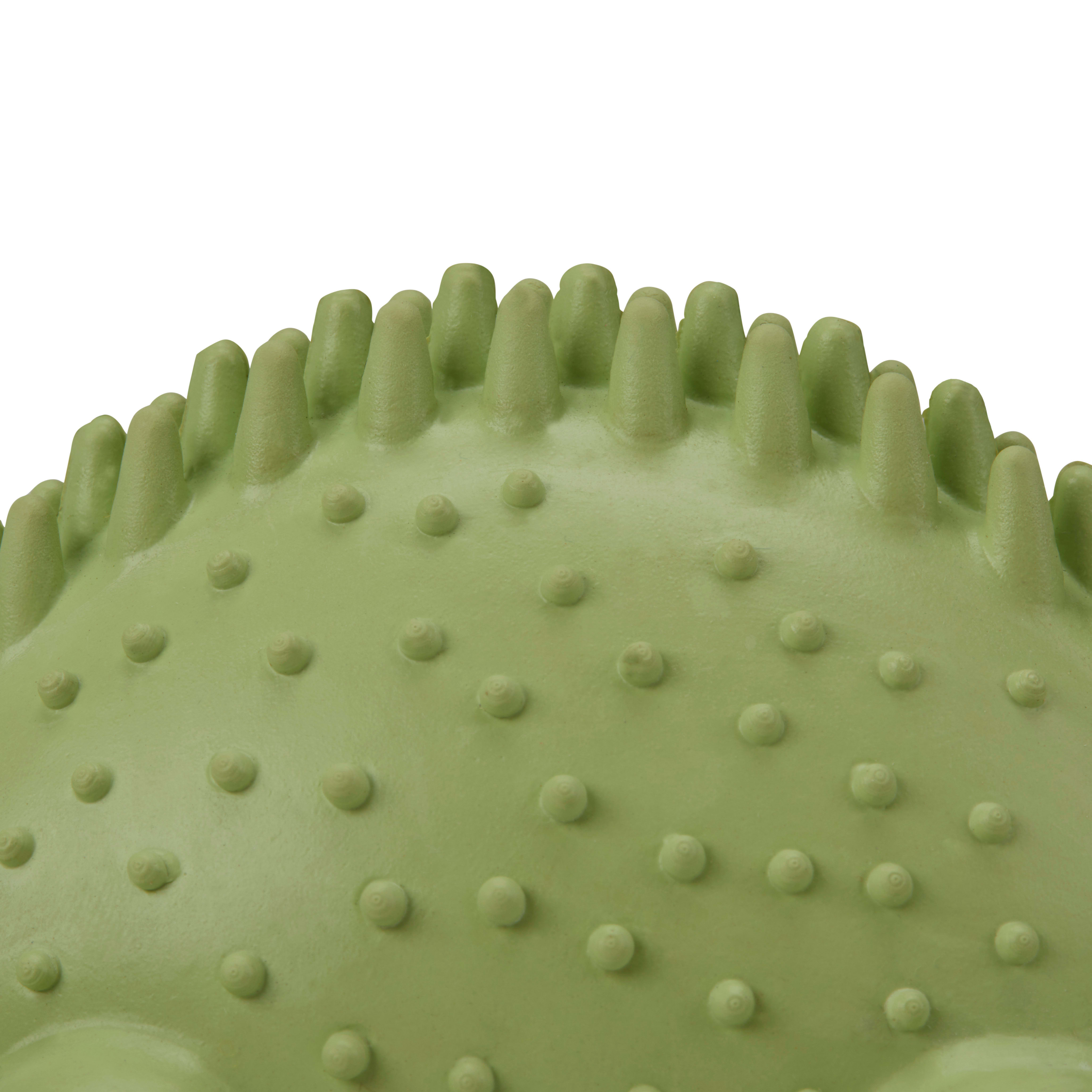 Leaps  Bounds Green Stegosaurus Dental Dog Chew Toy， X-Small