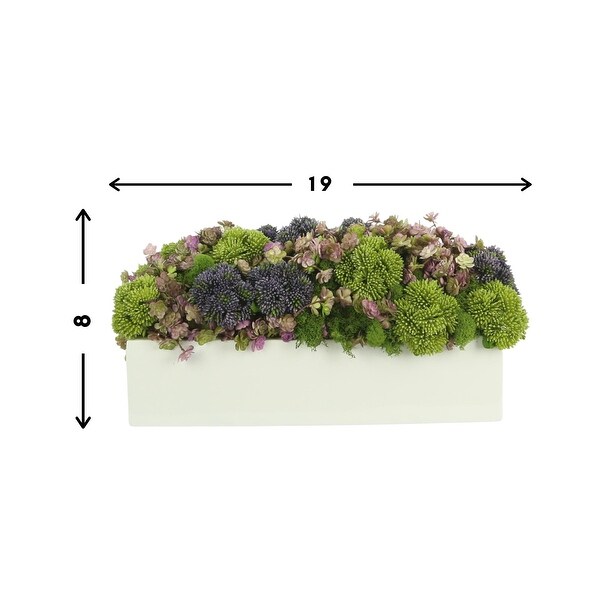 Sedum and Thistle Arranged in Rectangular Planter