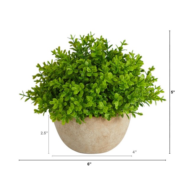 Nearly Natural 5 in Boxwood Artificial Plant In Decorative Planter