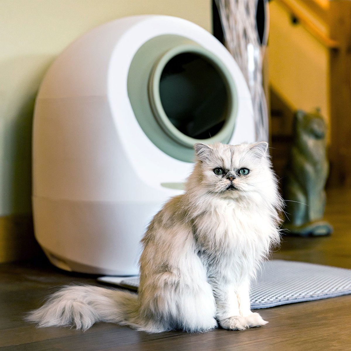 Smarty Pear Leo's Loo Too WiFi Enabled Automatic Self-Cleaning Cat Litter Box Variety Pack