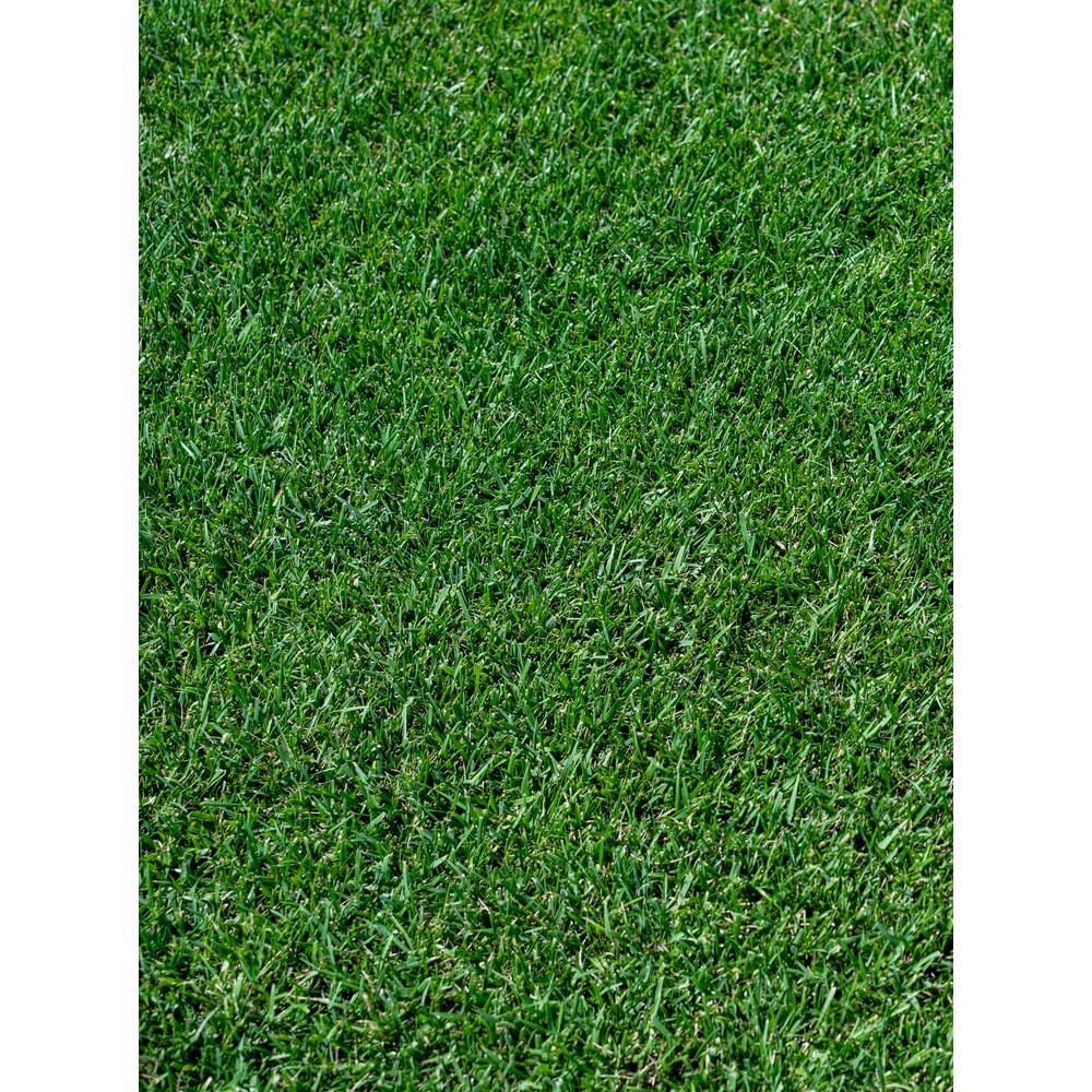 JB INSTANT LAWN JB Signature Tall Fescue with Turfmend 35lb tmtf35