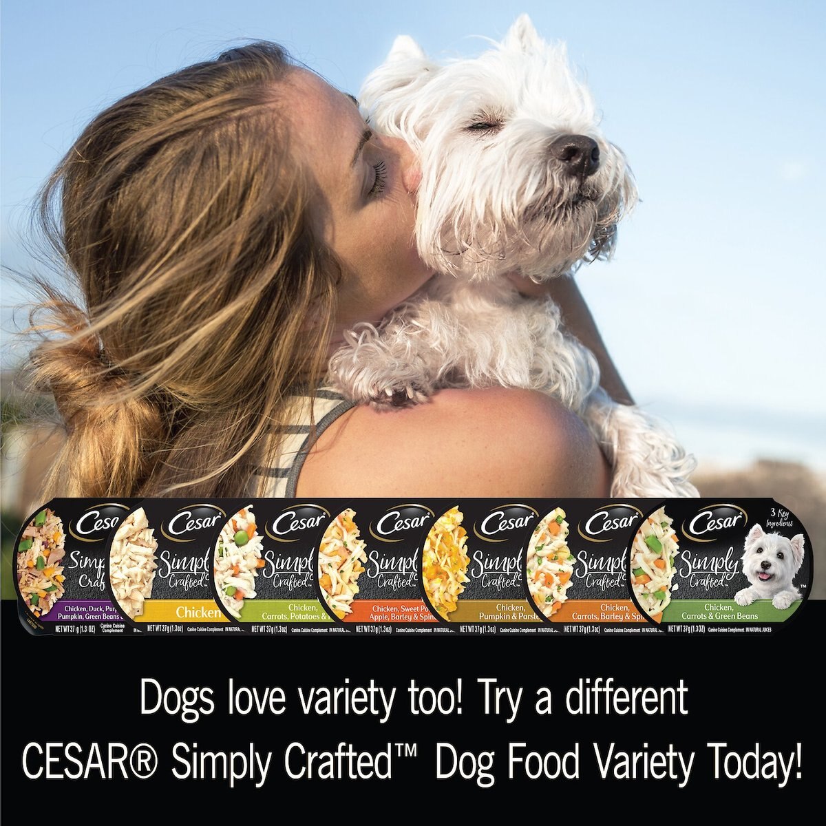 Cesar Simply Crafted Chicken， Duck， Purple Potatoes， Pumpkin， Green Beans and Brown Rice and Chicken， Carrots， Barley and Spinach Variety Pack Wet Dog Food Meal Topper， 1.3-oz tub， case of 16