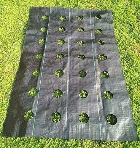 Agfabric Easy-Plant Weed Block for Raised Bed Outdoor Garden Weed Rugs Garden mat 3.0oz, 4'x12',with Planting Hole Dia 3"