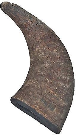 Top Dog Chews Natural Water Buffalo Horns Dog Treats