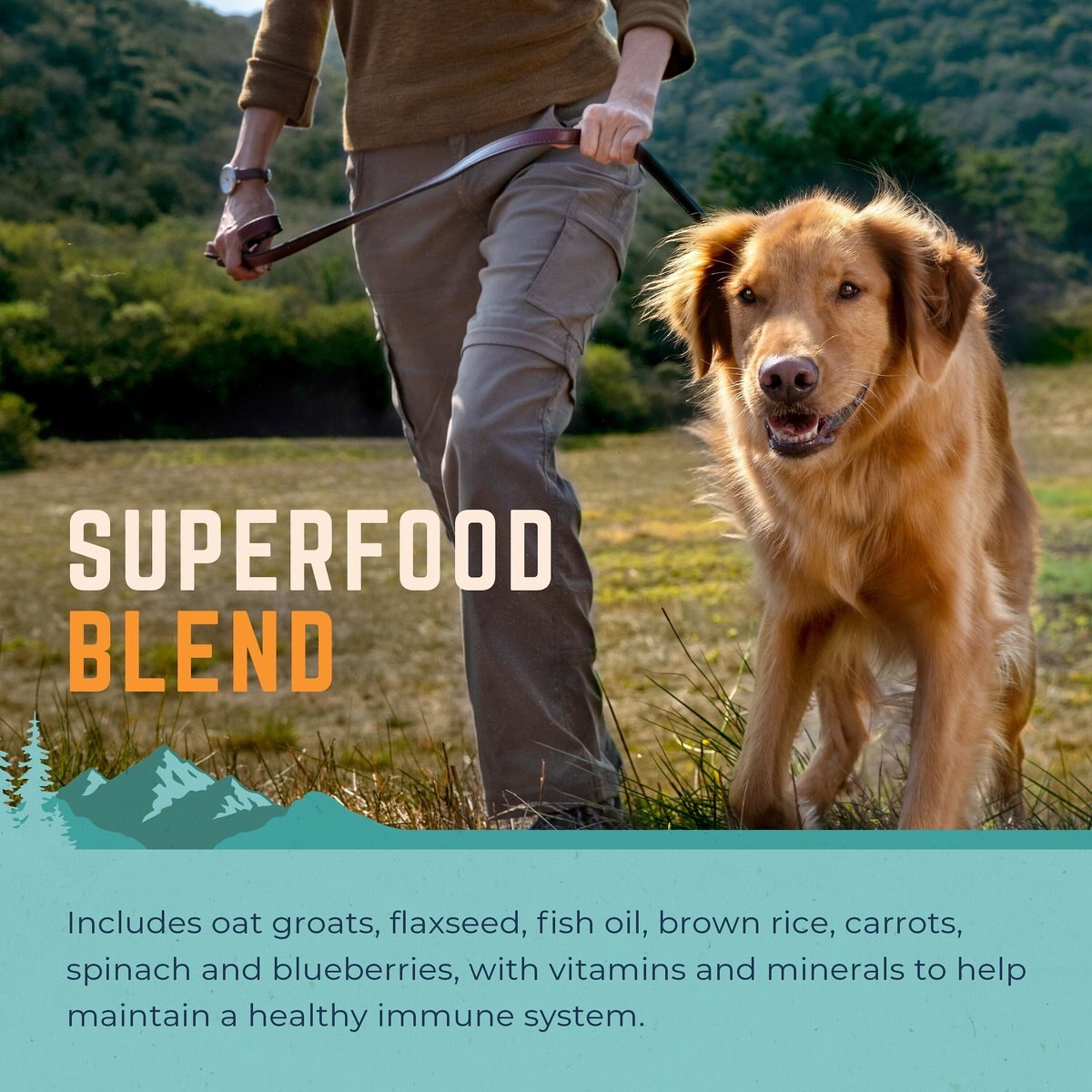 Natural Balance Original Ultra Chicken and Barley Formula Dry Dog Food