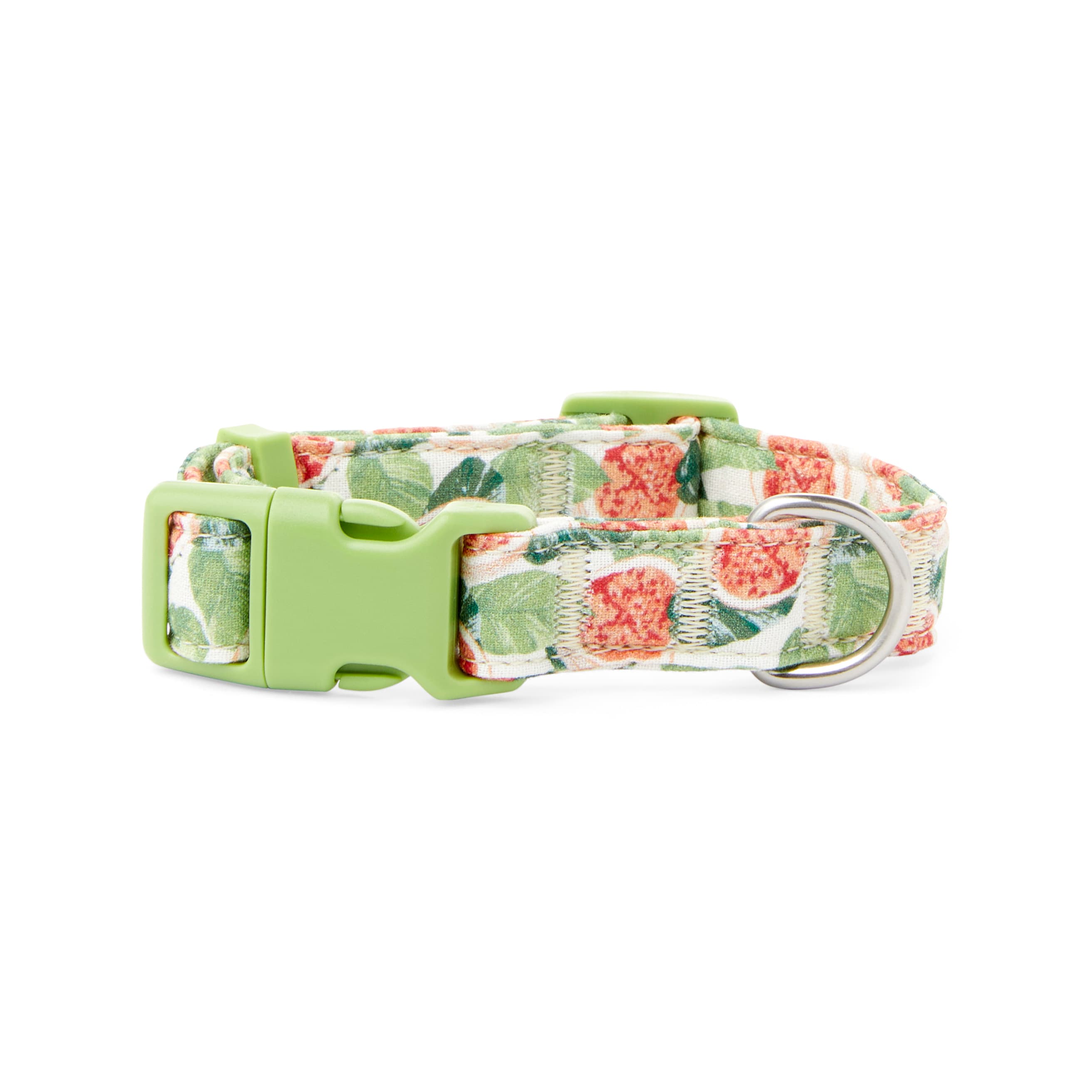 YOULY The Wanderer Green  Multicolor Go Fig-ure Dog Collar， Small