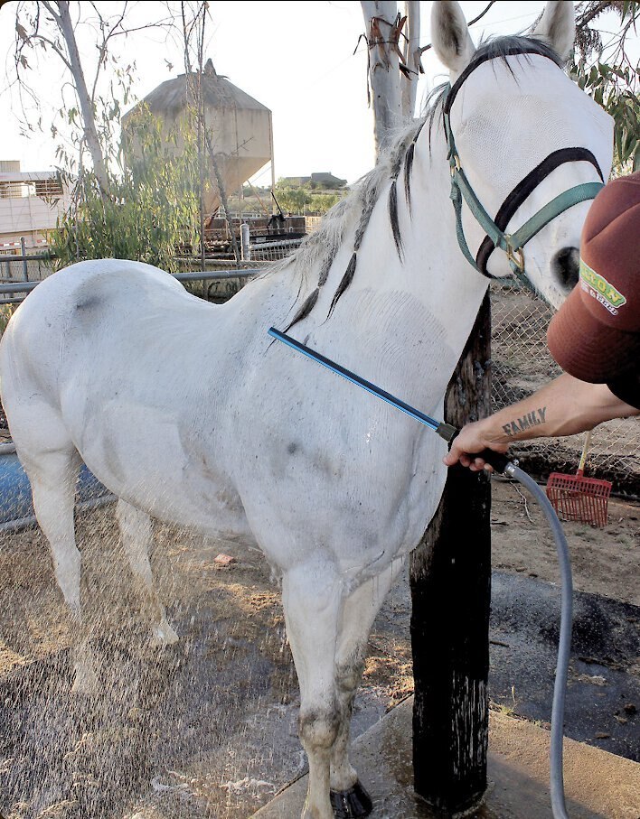 EZWash Wand Horse Grooming Pressure Washer