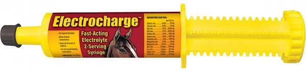 Finish Line Fast-Acting Electrocharge Electrolyte Honey Flavor Paste Horse Supplement， 2-oz syringe